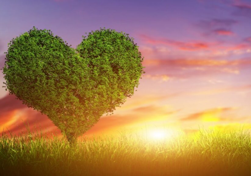 Stock Images love image, heart, tree, 5k, Stock Images 184403625